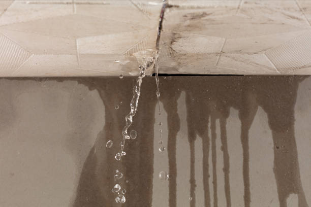 Professional Water Damage Repair technician working in Robertsdale, AL